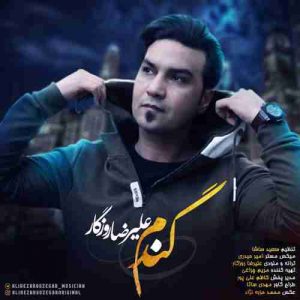 متن آهنگ گندم علیرضا روزگار