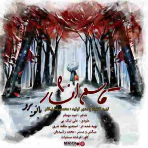 متن آهنگ بانو برو قاسم افشار متن آهنگ بانو برو قاسم افشار