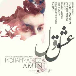 متن آهنگ عشق اول محمدرضا امینی