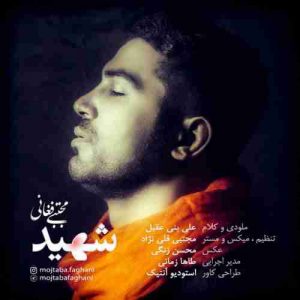 متن آهنگ شهید مجتبی فغانی