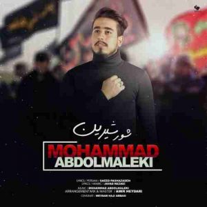 متن آهنگ شور شیرین محمد عبدالمالکی