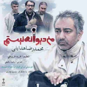 متن آهنگ من دیوانه نیستم محمدرضا هدایتی