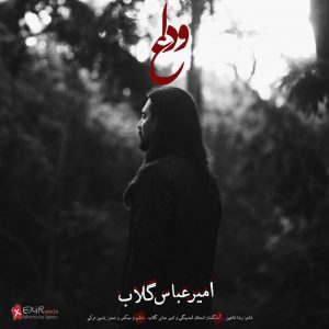 متن آهنگ وداع امیر عباس گلاب متن آهنگ وداع امیر عباس گلاب