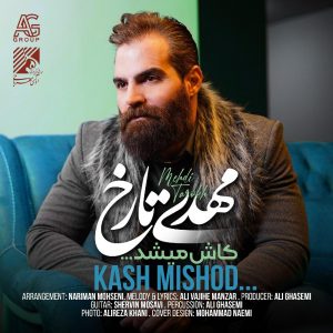 متن آهنگ کاش میشد مهدی تارخ