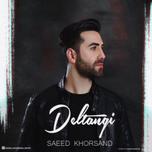 متن آهنگ دلتنگی سعید خرسند