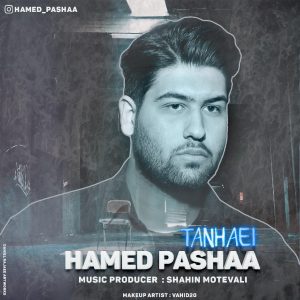 متن آهنگ تنهایی حامد پاشا