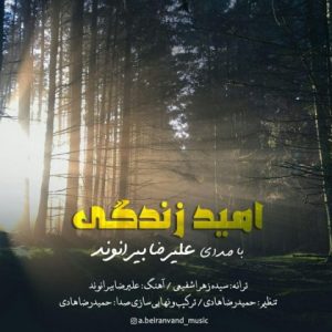 متن آهنگ امید زندگی علیرضا بیرانوند
