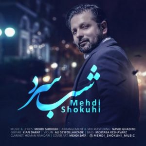 متن آهنگ شب سرد مهدی شکوهی