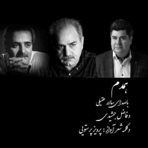 متن آهنگ همدم سالار عقیلی متن آهنگ همدم سالار عقیلی