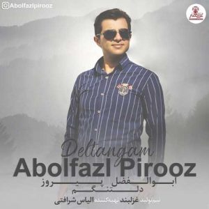 متن آهنگ دلتنگم ابوالفضل پیروز
