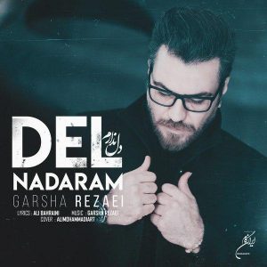 متن آهنگ دل ندارم گرشا رضایی متن آهنگ دل ندارم گرشا رضایی