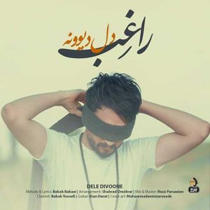 متن آهنگ دل دیوونه راغب متن آهنگ دل دیوونه راغب