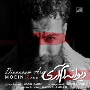 متن آهنگ دیوانه ام آری معین زد 