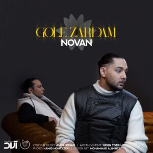 متن آهنگ گل زردم نوان