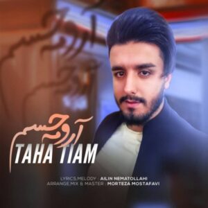 متن آهنگ آرومه حسم طاها تیام