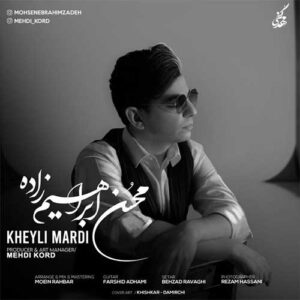 متن آهنگ خیلی مردی محسن ابراهیم زاده