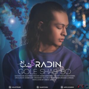 متن آهنگ گل شب بو رادین