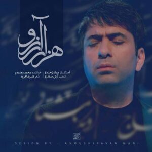 متن آهنگ هزار آرزو محمد معتمدی