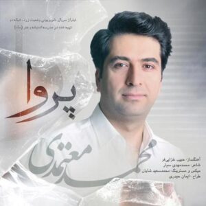 متن آهنگ پروا محمد معتمدی