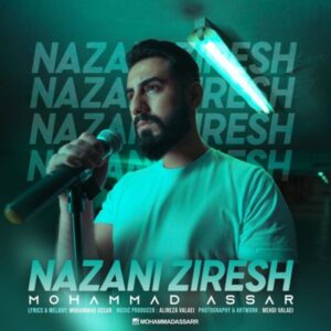 متن آهنگ نزنی زیرش محمد عصار متن آهنگ نزنی زیرش محمد عصار