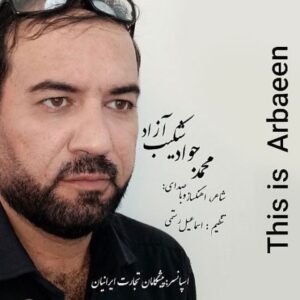 متن آهنگ این اربعین محمد جواد شکیب آزاد