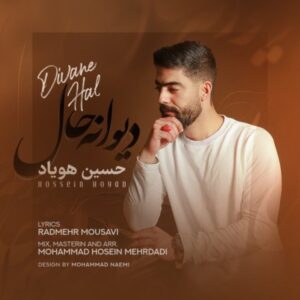 متن آهنگ دیوانه حال حسین هویاد