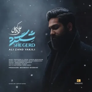 متن آهنگ شگرد علی زندوکیلی