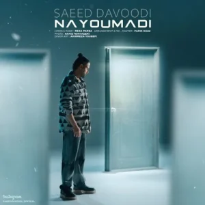 متن آهنگ نیومدی سعید داوودی