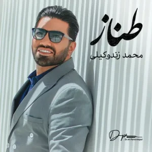 متن آهنگ طناز محمد زندوکیلی