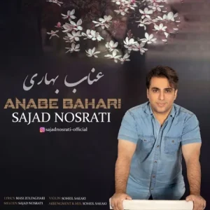متن آهنگ عناب بهاری سجاد نصرتی