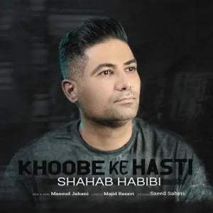 متن آهنگ خوبه که هستی شهاب حبیبی