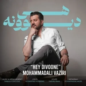 متن آهنگ هی دیوونه محمد علی وزیری
