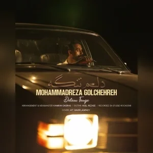 متن آهنگ دلم تنگه محمد رضا گلچهره