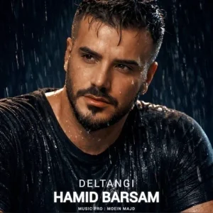 متن آهنگ دلتنگی حمید برسام