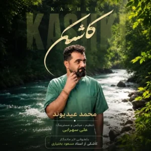 متن آهنگ کاشکی یه سال محمد عیدیوند