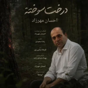 متن آهنگ درخت سوخته احسان مهرزاد